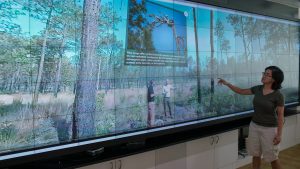 Fire Ecology demo in Hunt Library