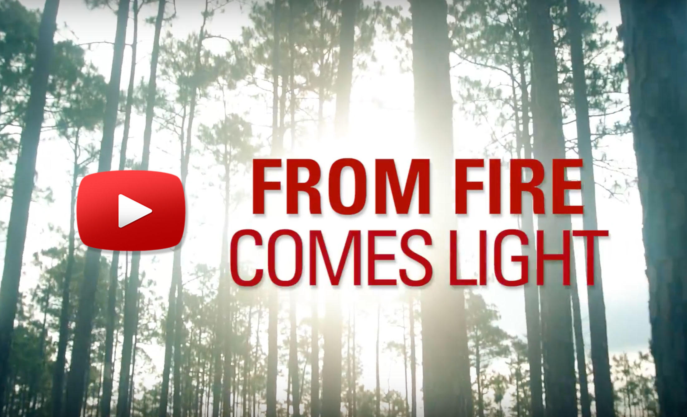 From Fire Comes Light