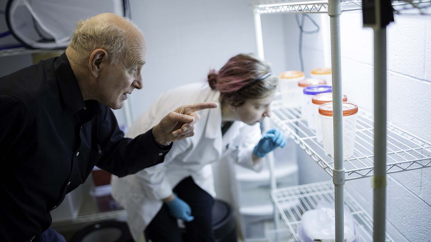 Dr. Allen Cohen teaches insect rearing through WolfWare Outreach seen here in his lab